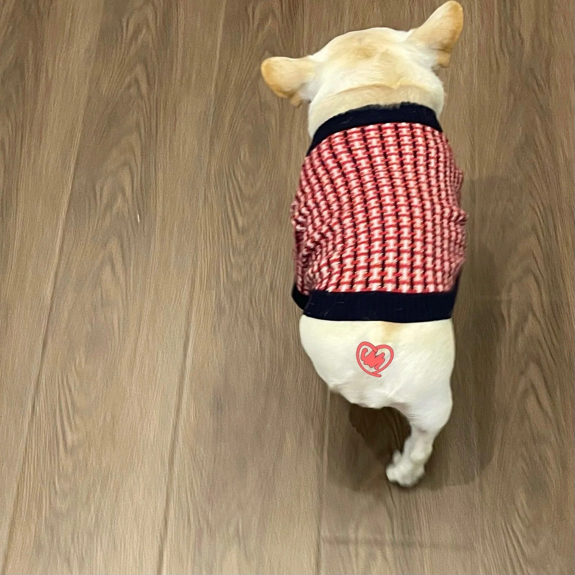 Fashion Cute Print Winter Pet Sweater - Image 6