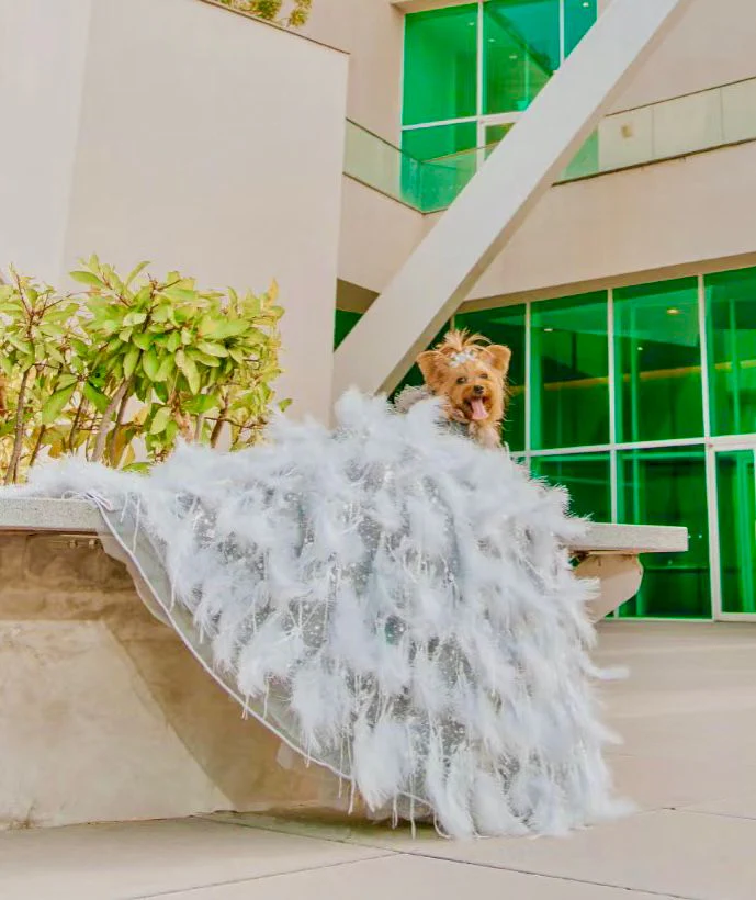 Feather Fantasy Pet Gown | Luxury Dog Dress for Special Occasions - Image 10