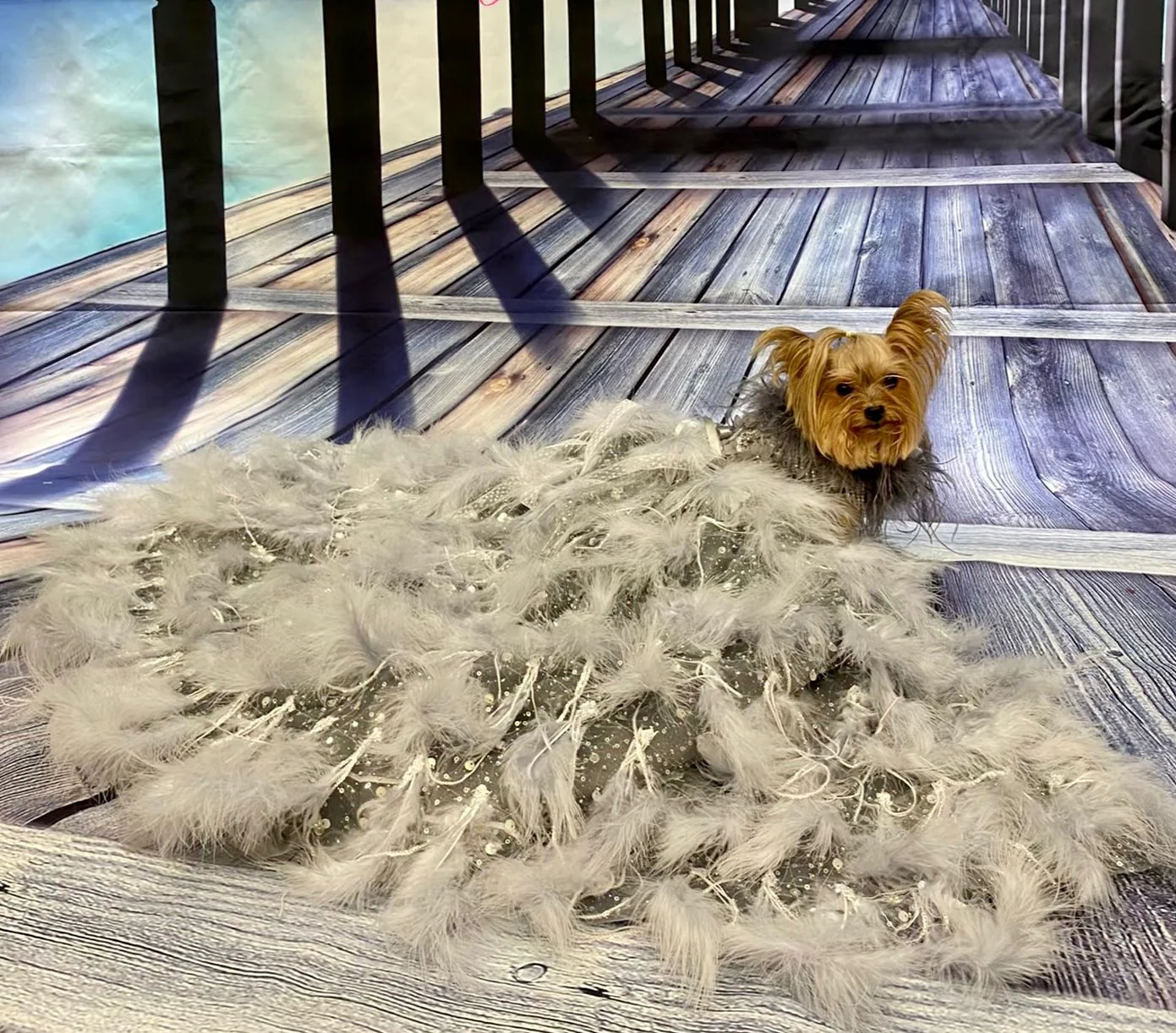 Feather Fantasy Pet Gown | Luxury Dog Dress for Special Occasions - Image 9