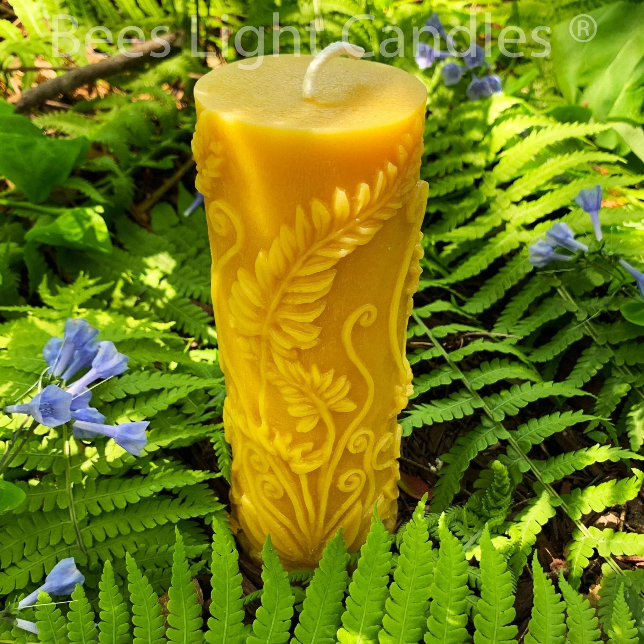 Fern Beeswax Candle Set Sphere & Pillar - Image 3
