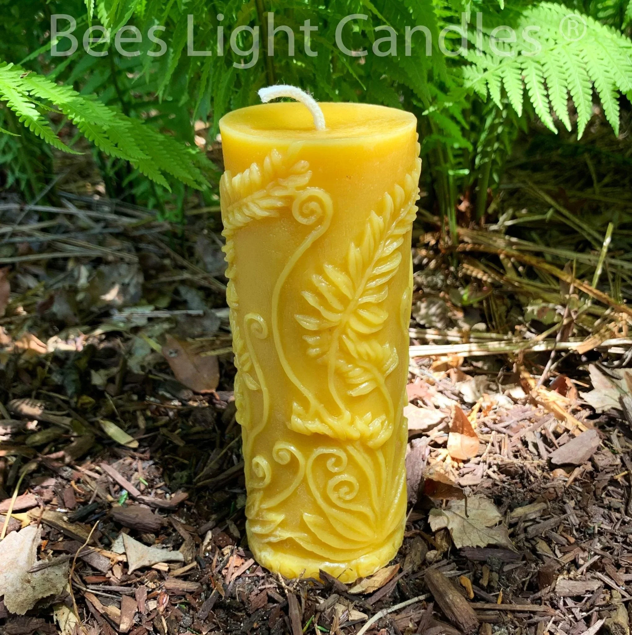 Fern Beeswax Candle Set Sphere & Pillar - Image 5