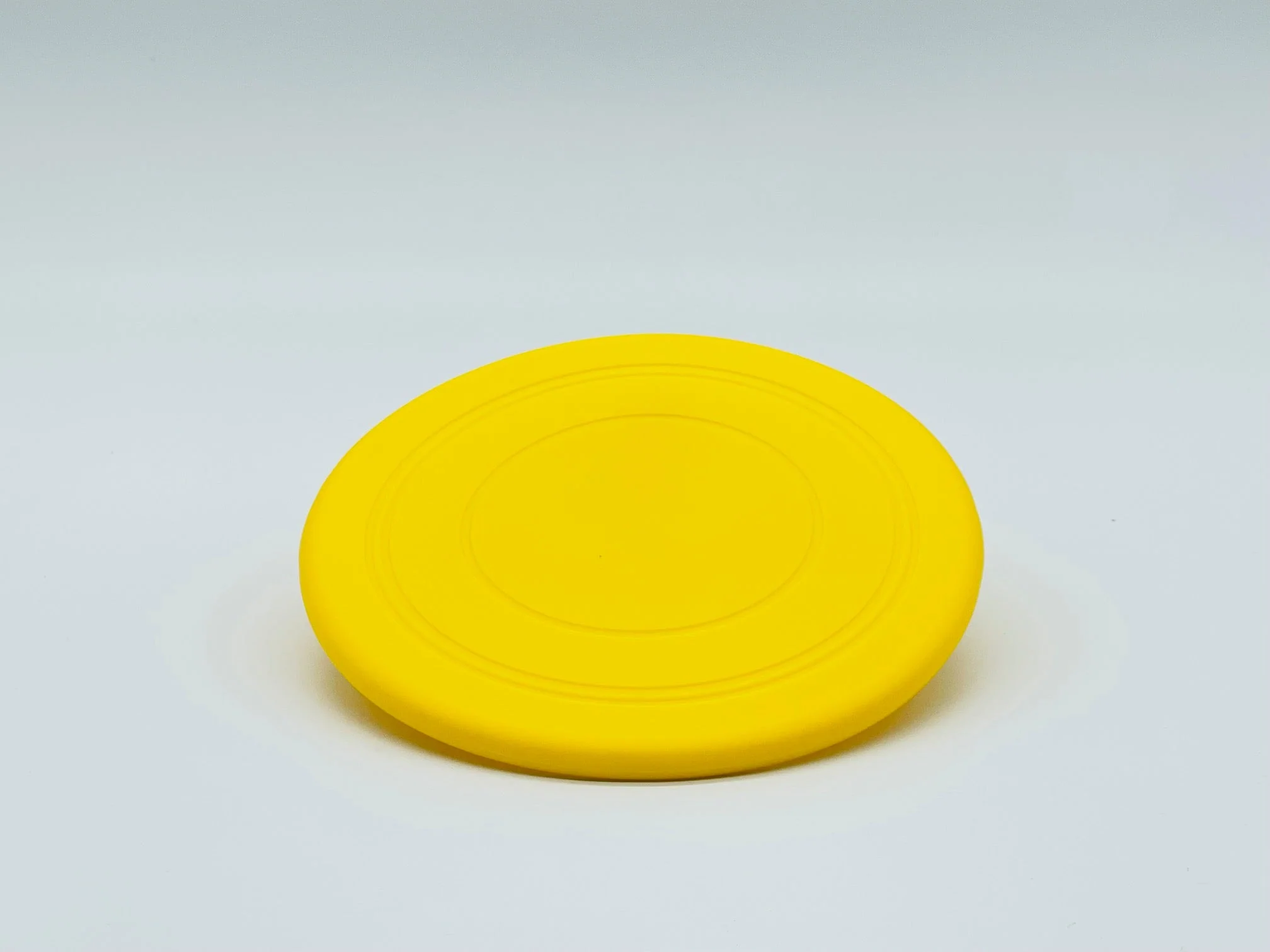 Fetch Me Frisbee - Image 2