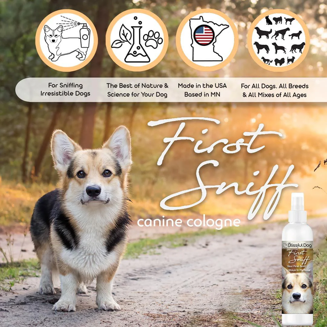 First Sniff Dog Cologne - Your First Sniff Stays on My Mind - Image 2