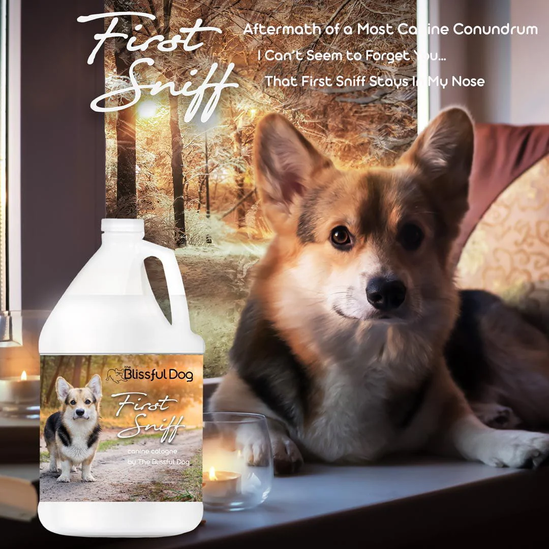 First Sniff Dog Cologne - Your First Sniff Stays on My Mind - Image 3