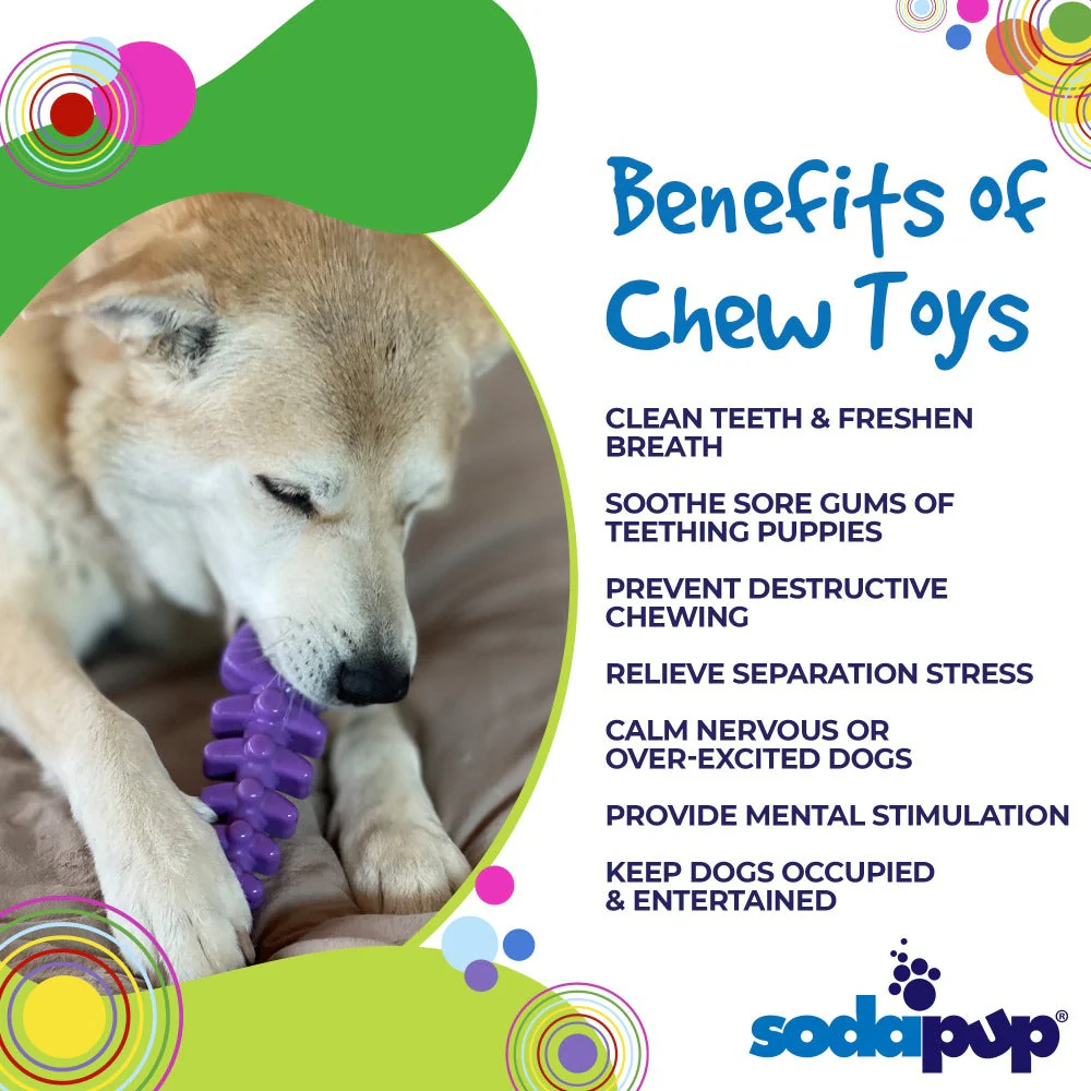 Fish Bone Nylon Dog Toy for Aggressive Chewers | USA Made | SodaPup - Image 5