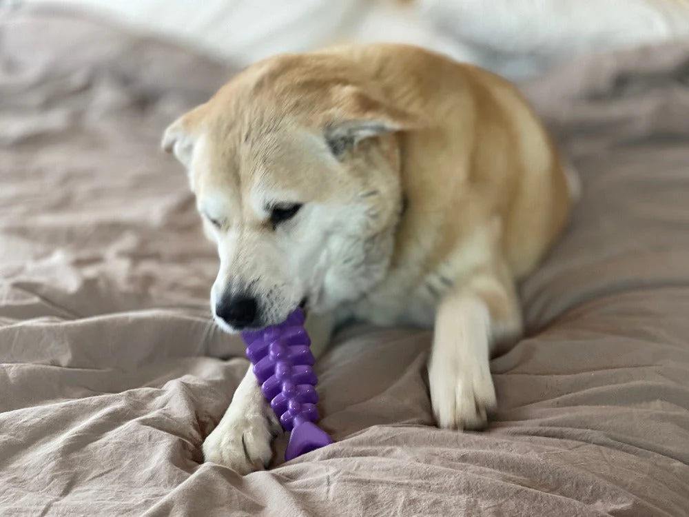 Fish Bone Nylon Dog Toy for Aggressive Chewers | USA Made | SodaPup - Image 7