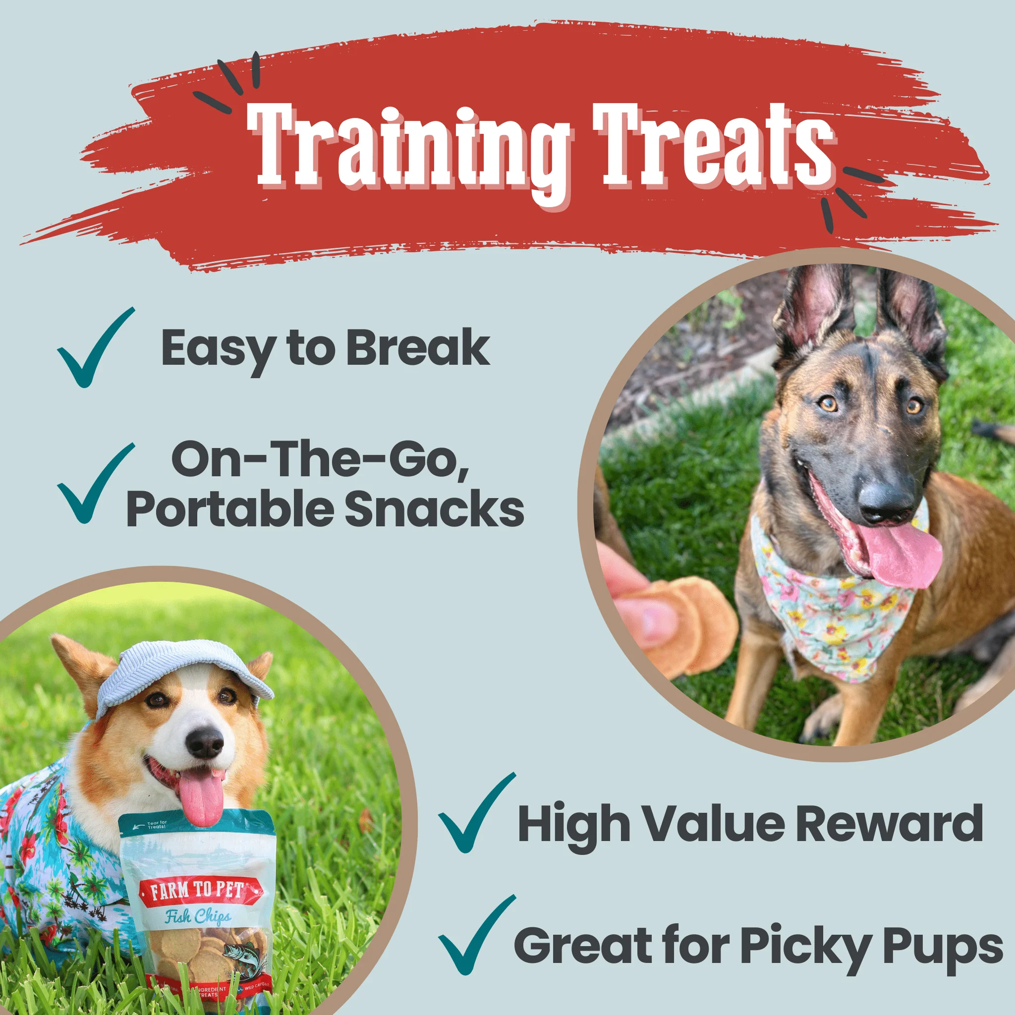 Fish Chips for Dogs | Wild-Caught Fish Dog Treats - Image 12