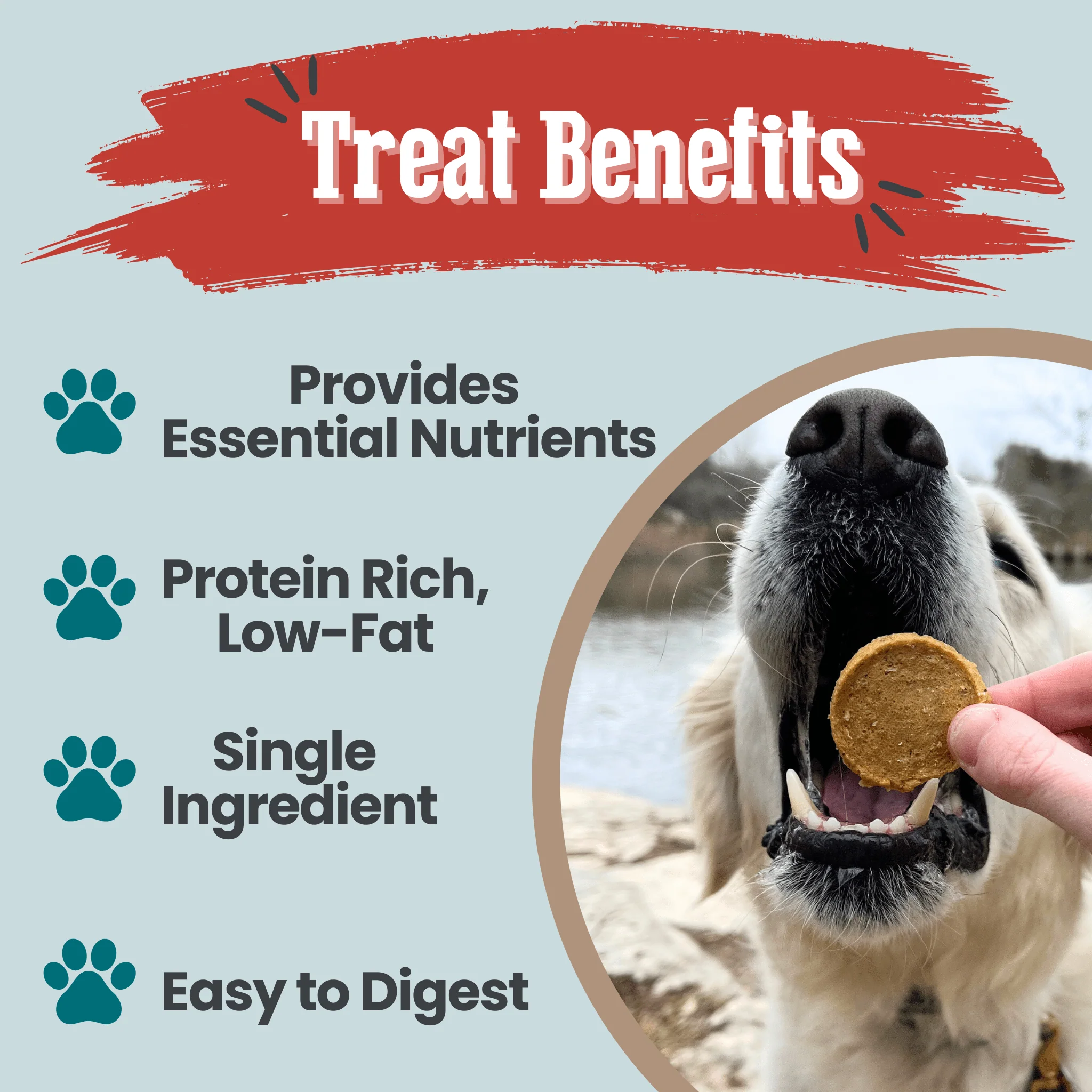 Fish Chips for Dogs | Wild-Caught Fish Dog Treats - Image 13