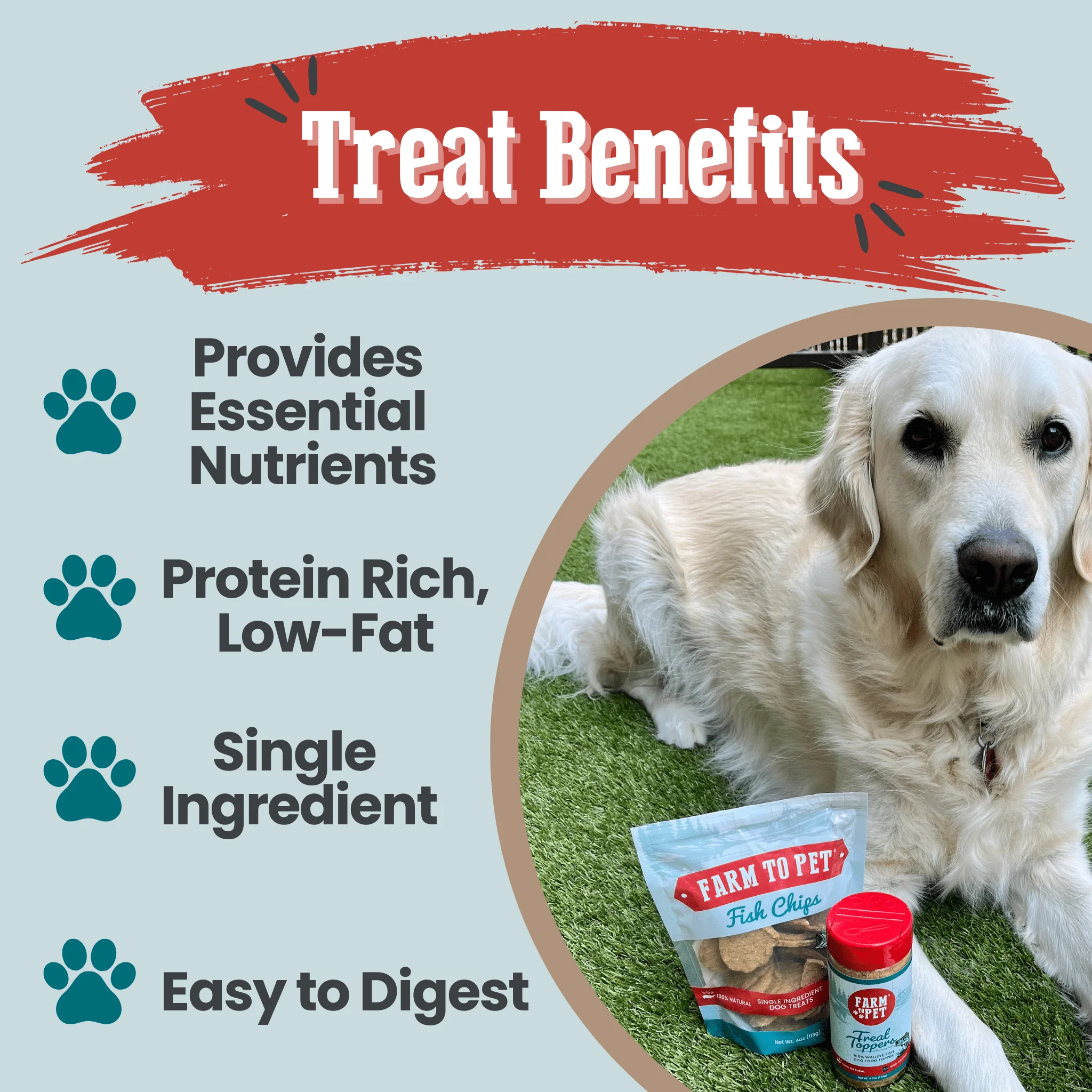 Fish Chips for Dogs | Wild-Caught Fish Dog Treats - Image 6