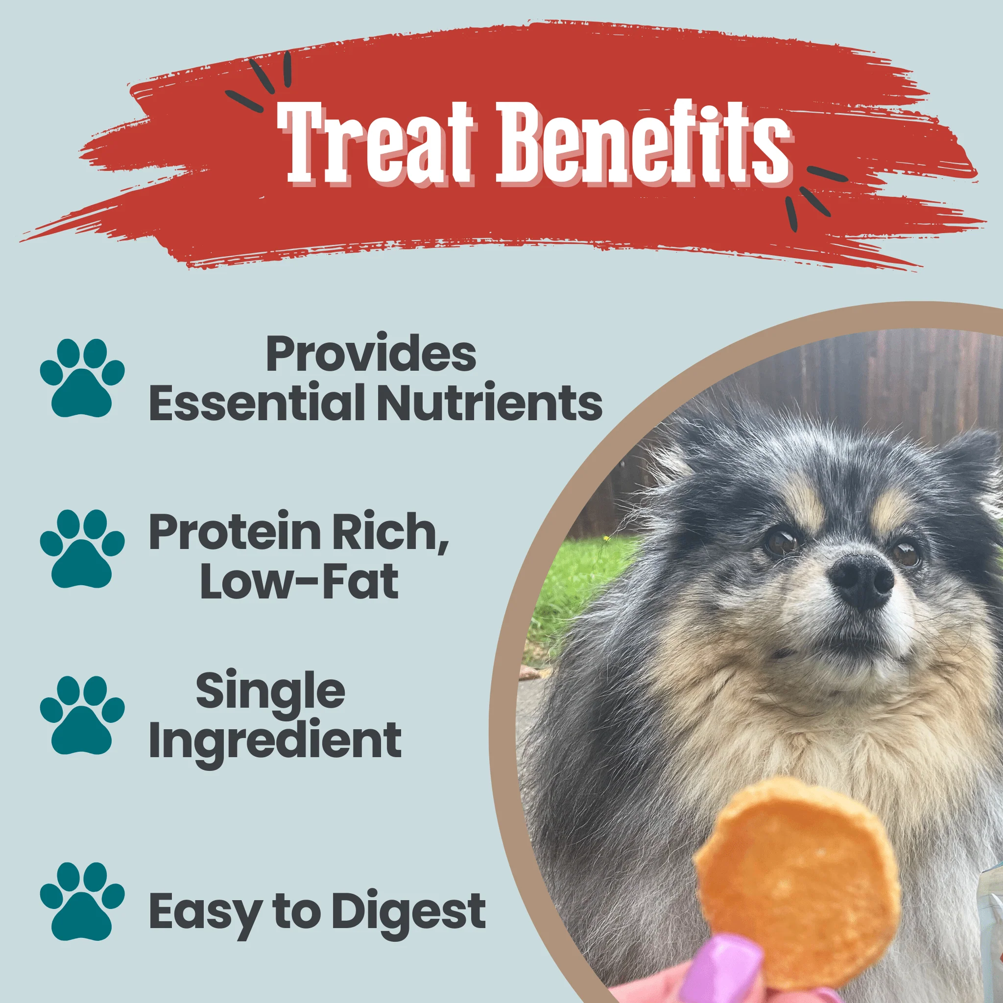 Fish Chips Snack Pack Bundles | Dog Treats for Training & Travel - Image 15