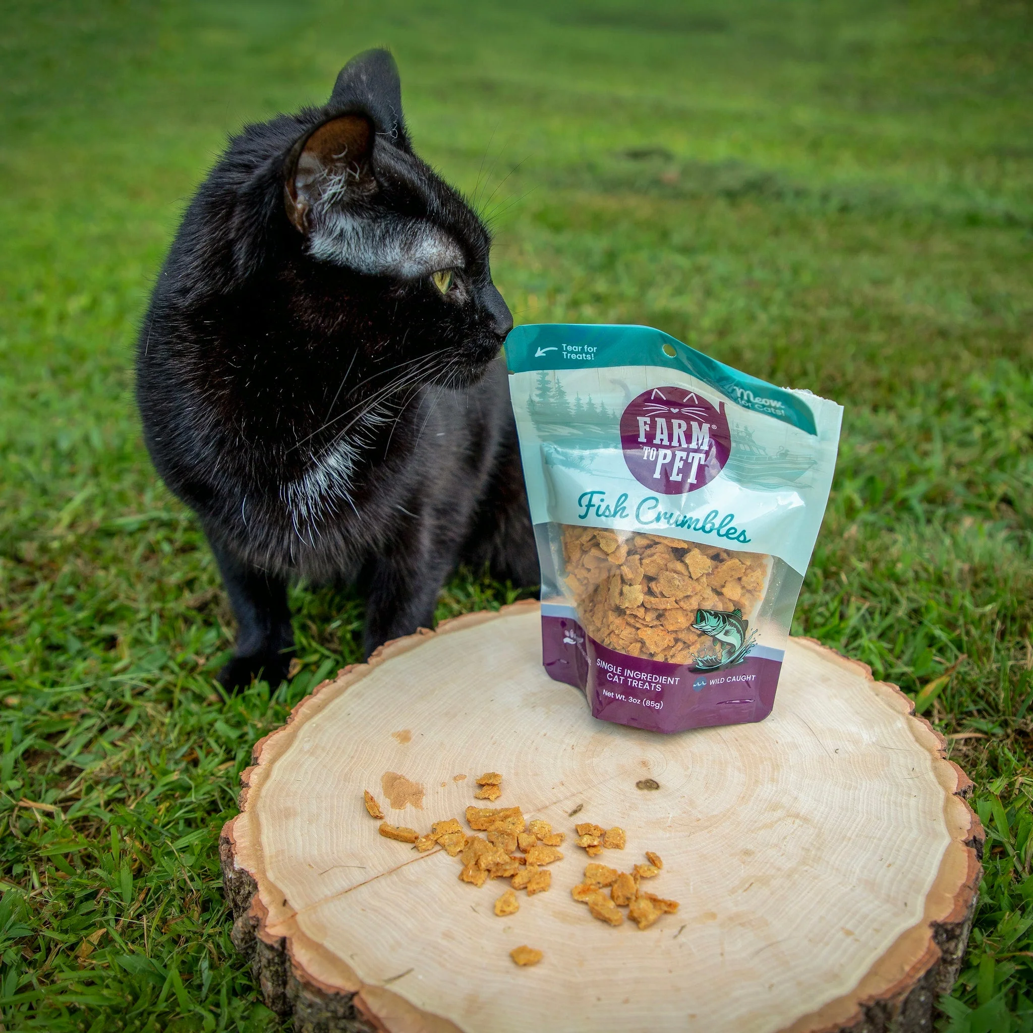 Fish Crumbles for Cats | All-Natural Fish Cat Treats - Image 3