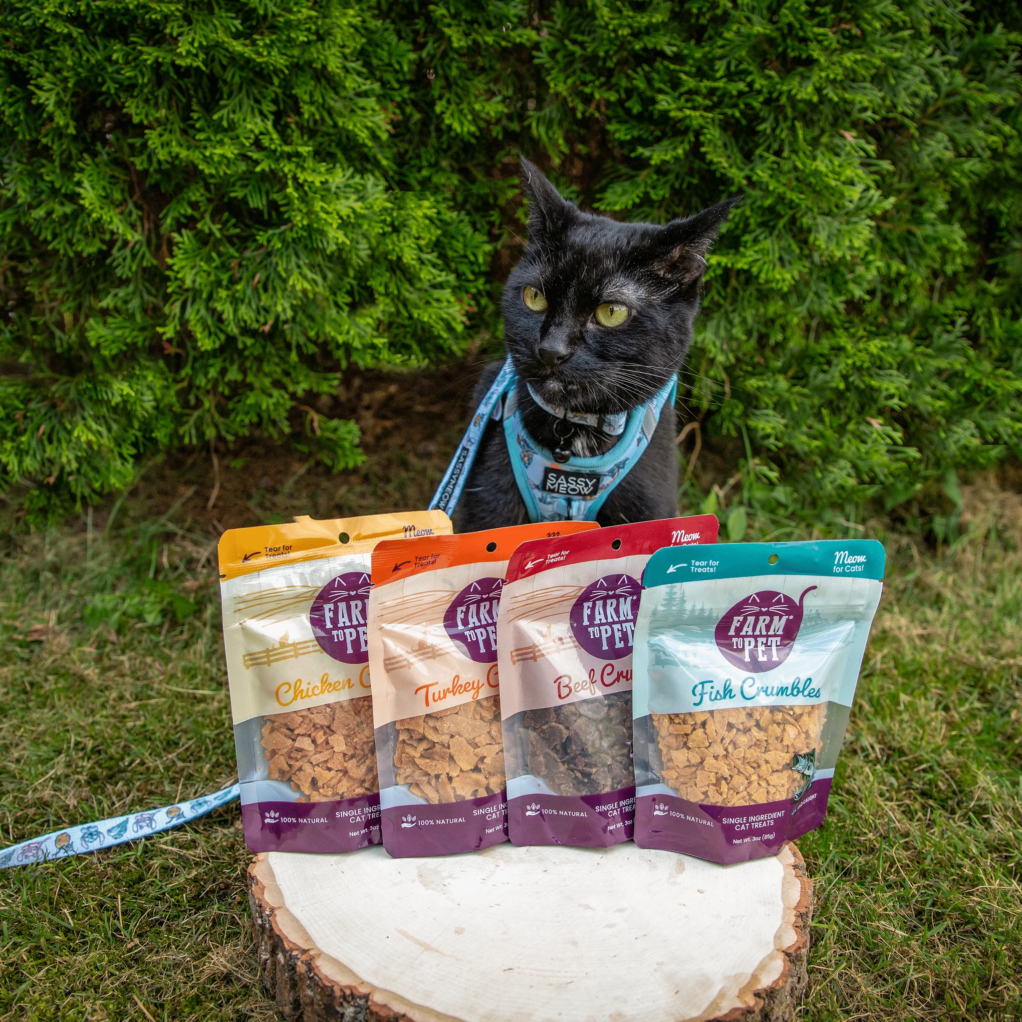 Fish Crumbles for Cats | All-Natural Fish Cat Treats - Image 4