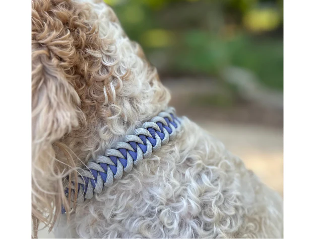 Fishtail Hand Braided Dog Collar in Lavender & Smoke - Image 5