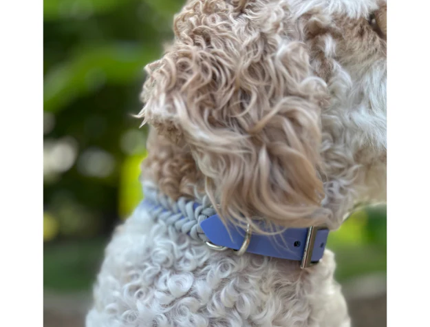 Fishtail Hand Braided Dog Collar in Lavender & Smoke - Image 7