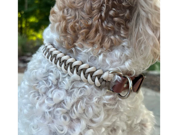 Fishtail Hand Braided Dog Collar in Tan & Cream - Image 6