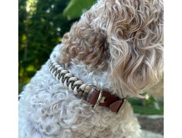 Fishtail Hand Braided Dog Collar in Tan & Cream - Image 8