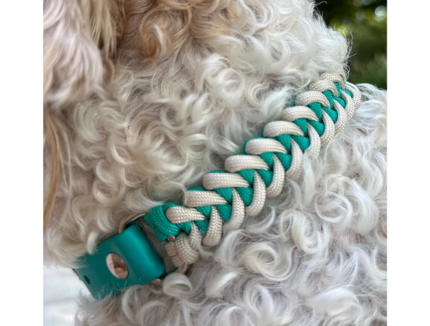 Fishtail Hand Braided Dog Collar in Teal & Cream - Image 4