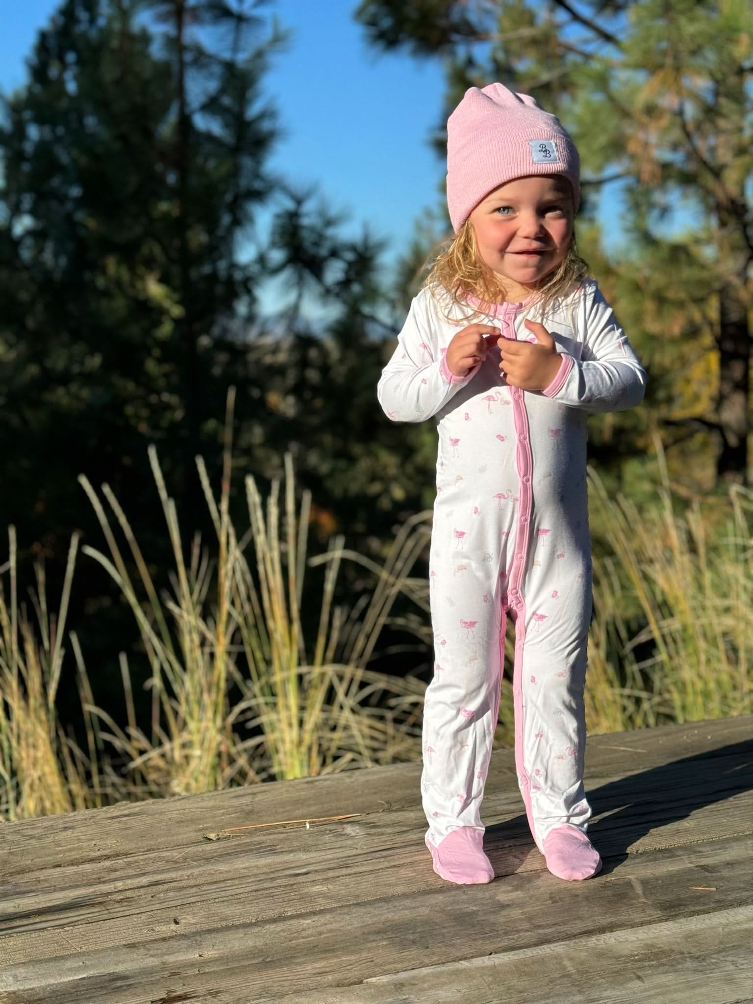Flamingo | Snap Footie - Image 3