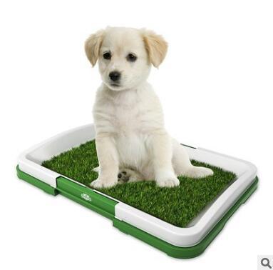 Flat Pet Potty Lawn Trumpet Toilet - Image 3