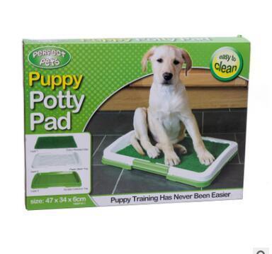 Flat Pet Potty Lawn Trumpet Toilet - Image 5