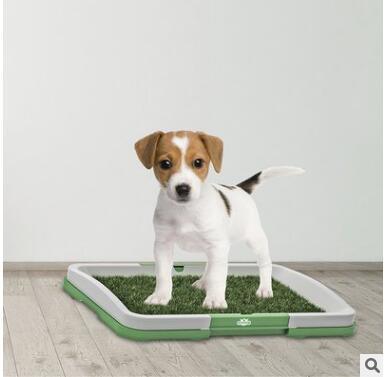 Flat Pet Potty Lawn Trumpet Toilet - Image 6
