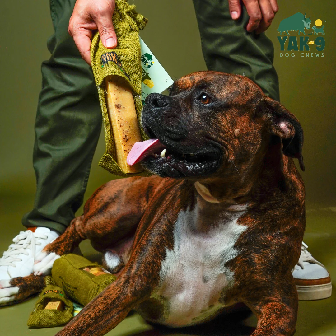 Flaxseed & Mint Cheese Chews for Dogs - Image 4