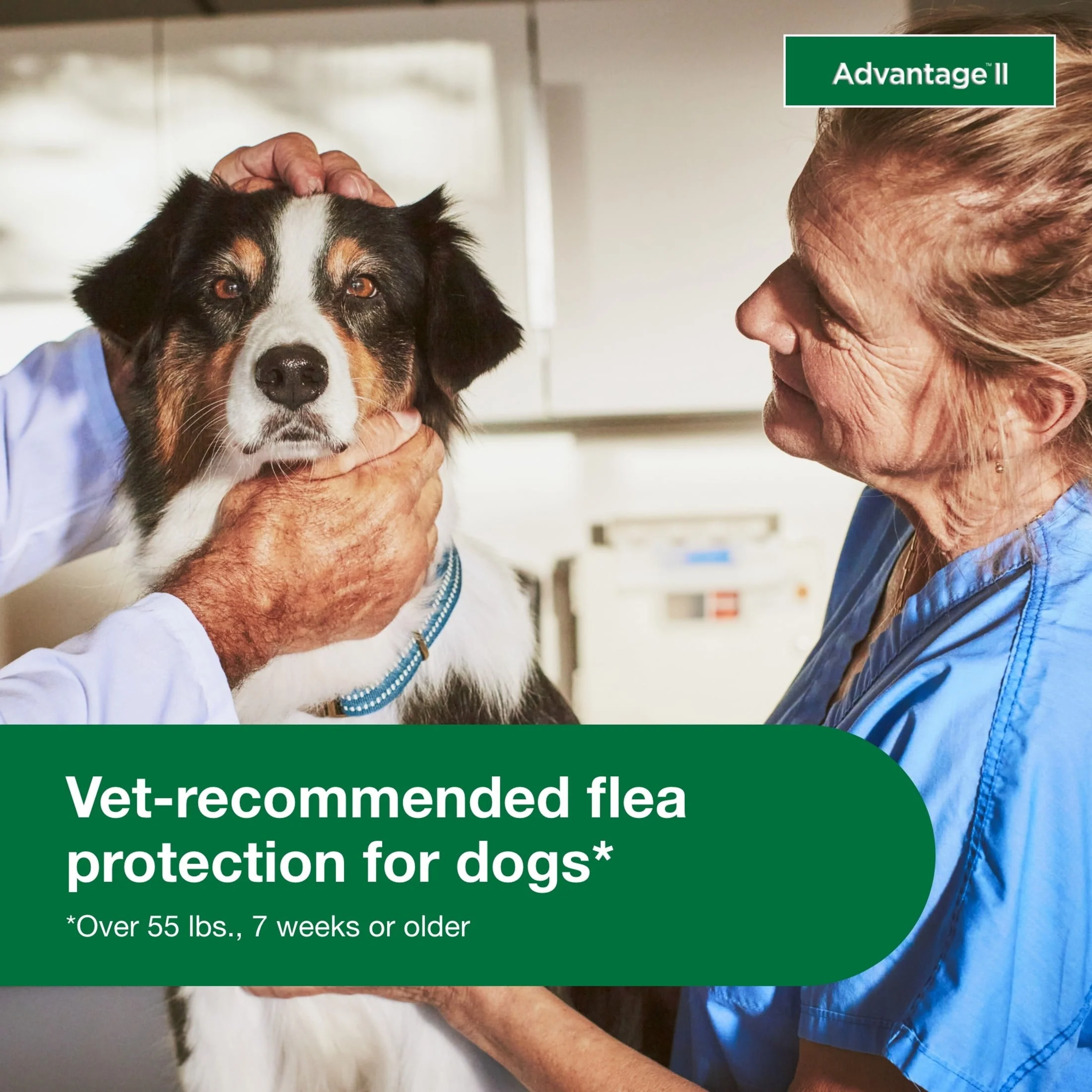 Flea Prevention for XL Dogs 55 Lbs+, 4-Monthly Treatments - Image 2