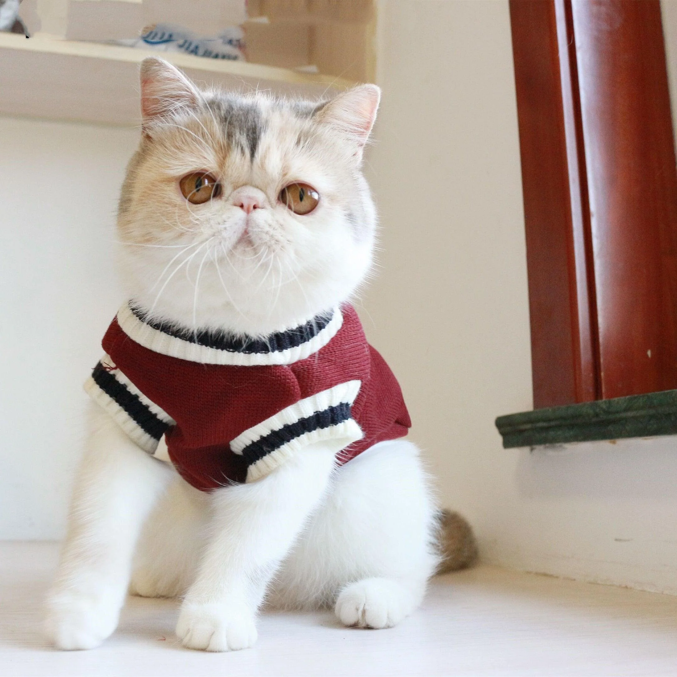 Fleece Knit Sleeveless Sweater for Cat - Image 2
