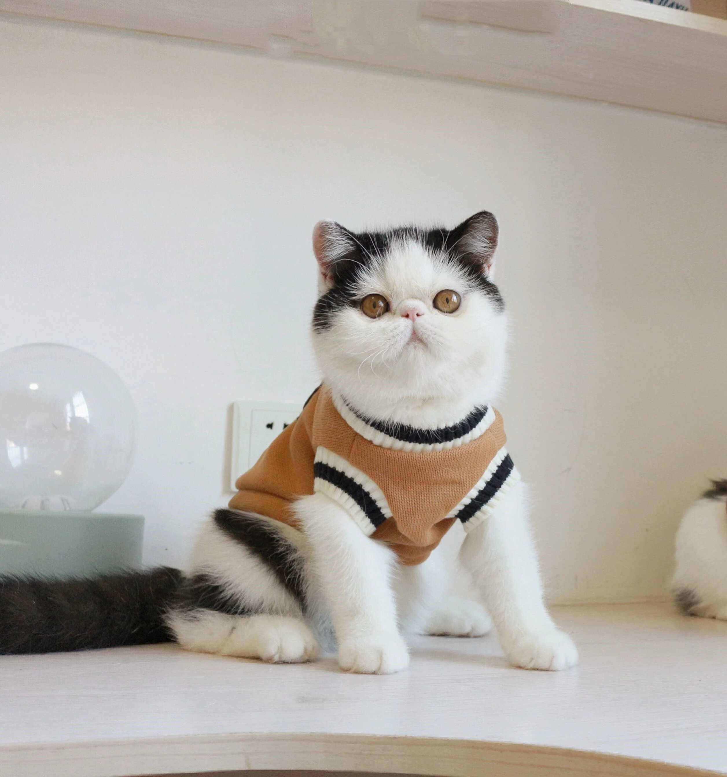 Fleece Knit Sleeveless Sweater for Cat - Image 5