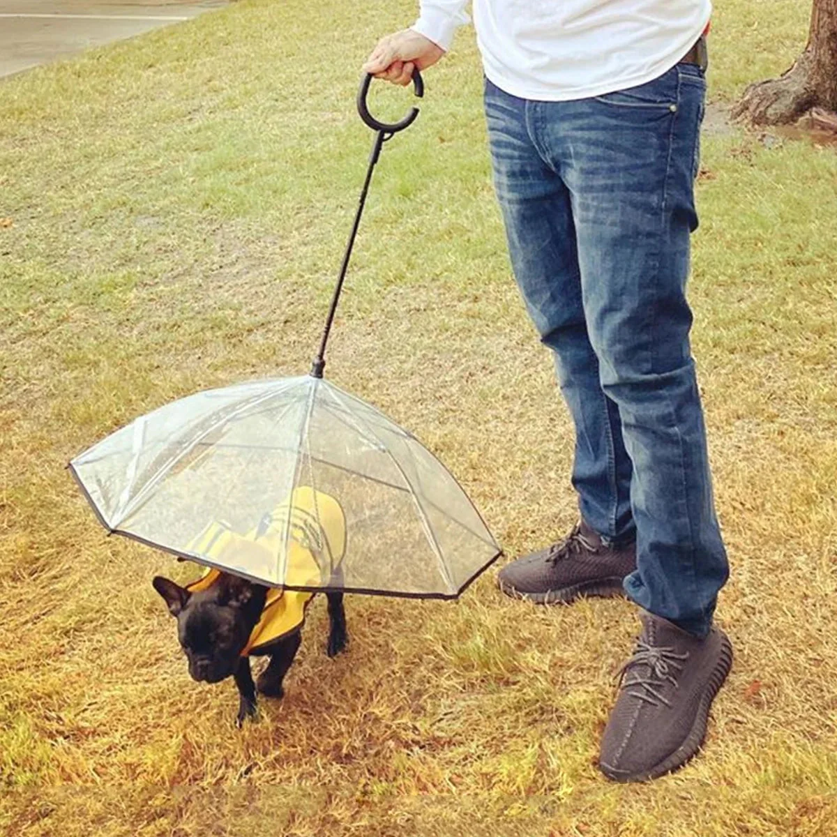 Flexible Handle Umbrella for Dog with Rope for Small Pets - Image 4