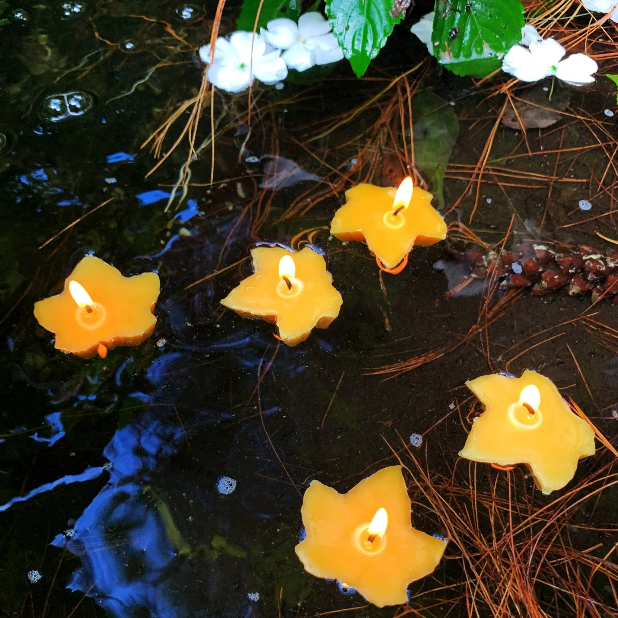 Floating Maple Leaf Beeswax Candles - Image 2