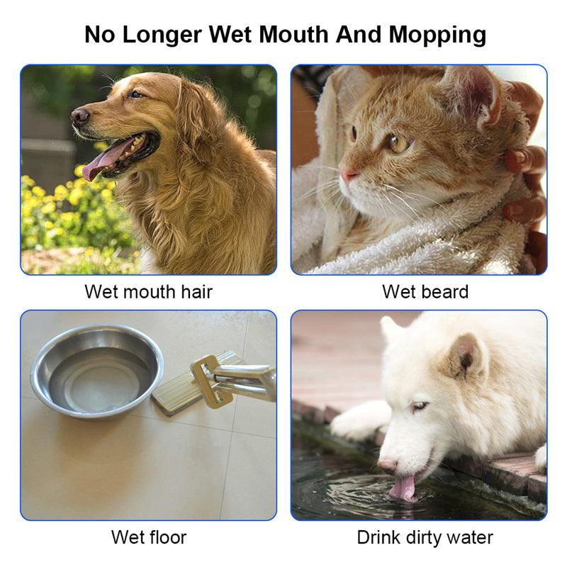 Floating Tray No Spill Pet Water Bowl - Image 6