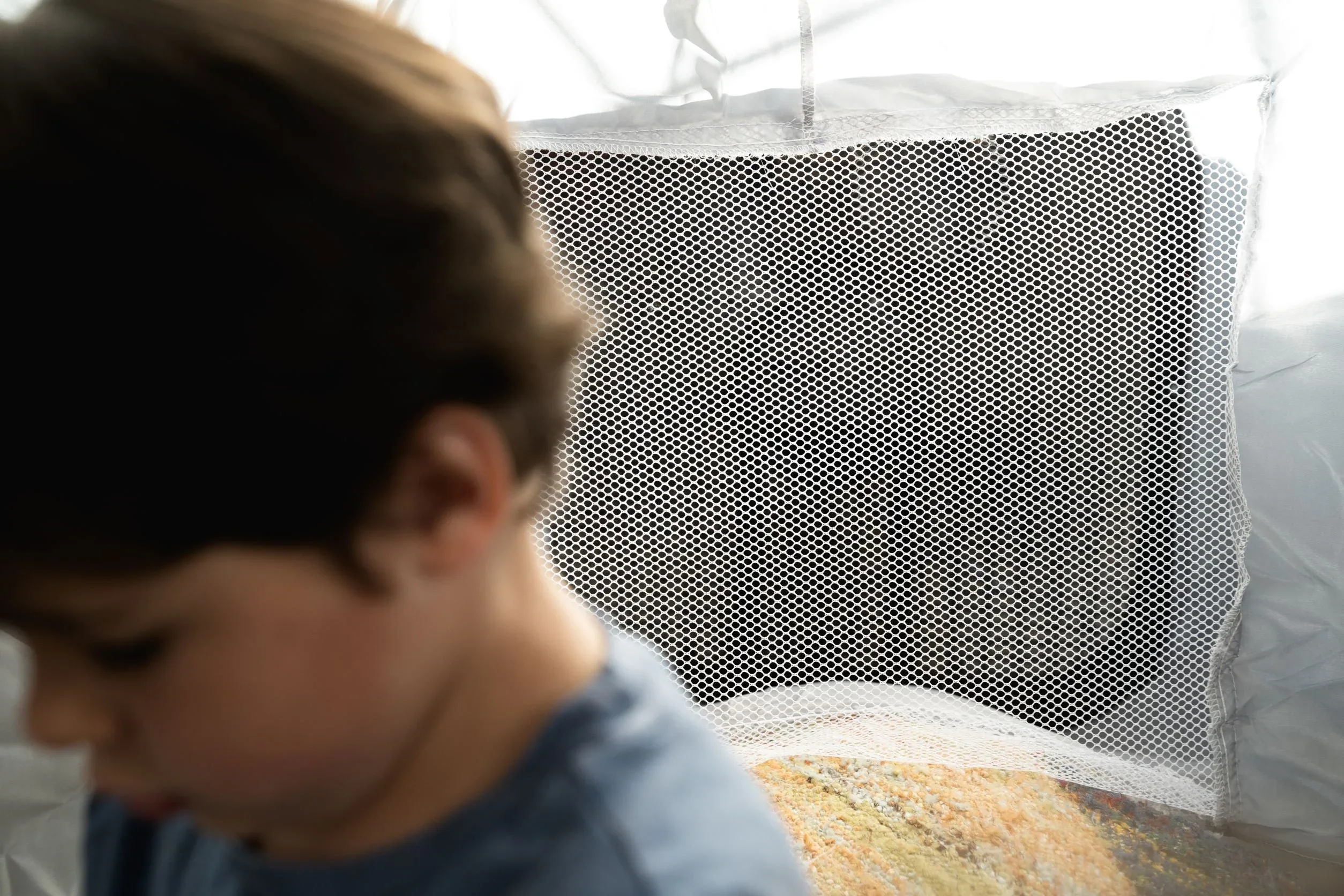 FloDome - Instant Fort! - Image 14