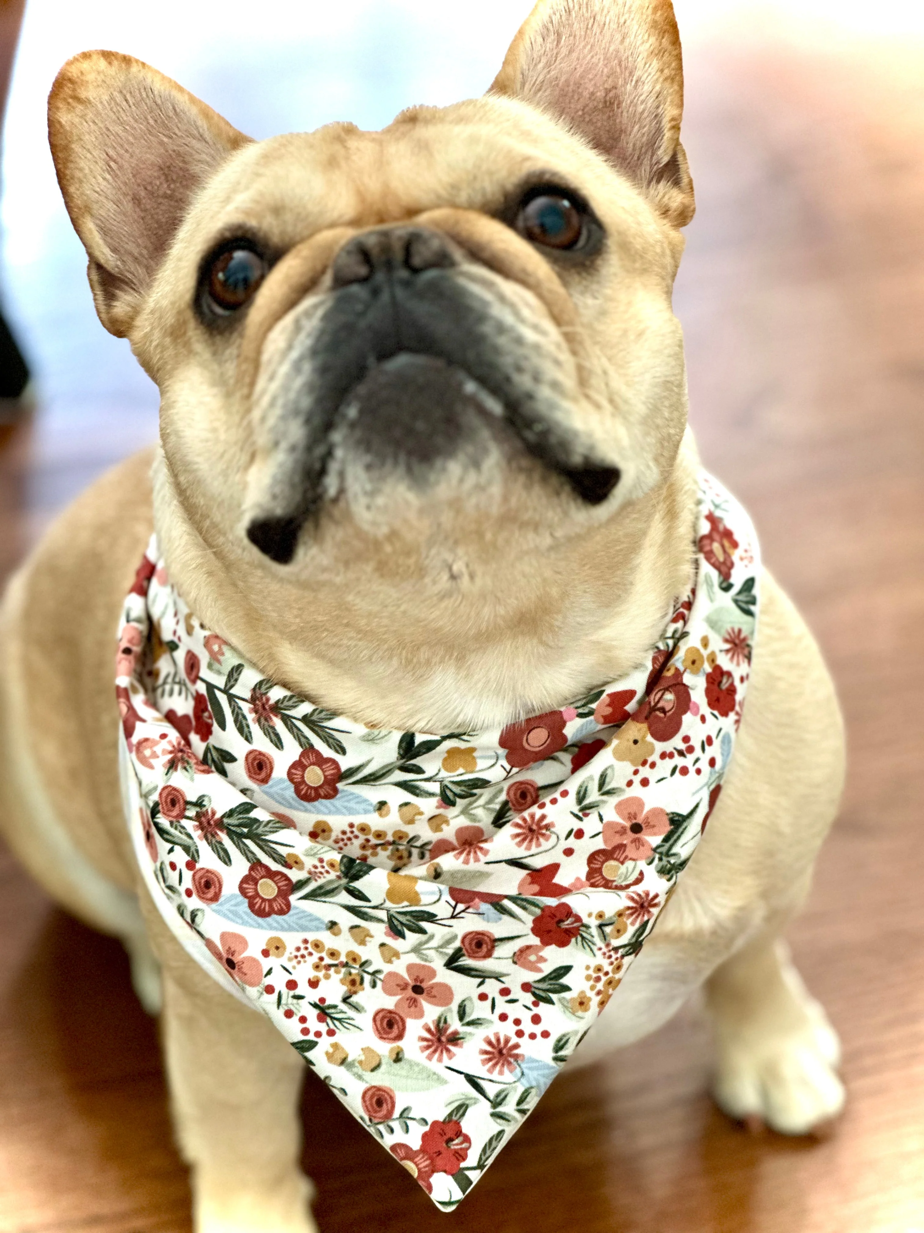 Floral Dog Bandana - Image 2