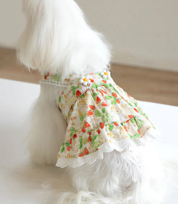 Floral Rabbit Print Pet Dress - Image 10
