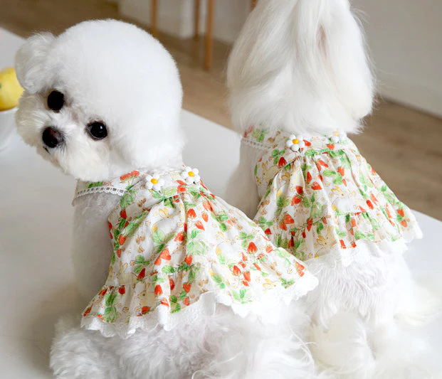 Floral Rabbit Print Pet Dress - Image 11