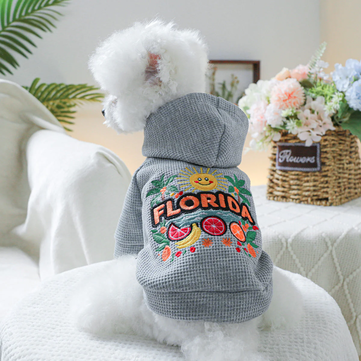 Florida Sunshine Dog Hoodie - Image 2