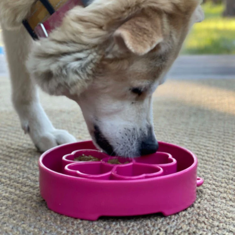 Flower eBowl Deep Slow Feeder Dog Bowl for Enrichment | USA Made - Image 10