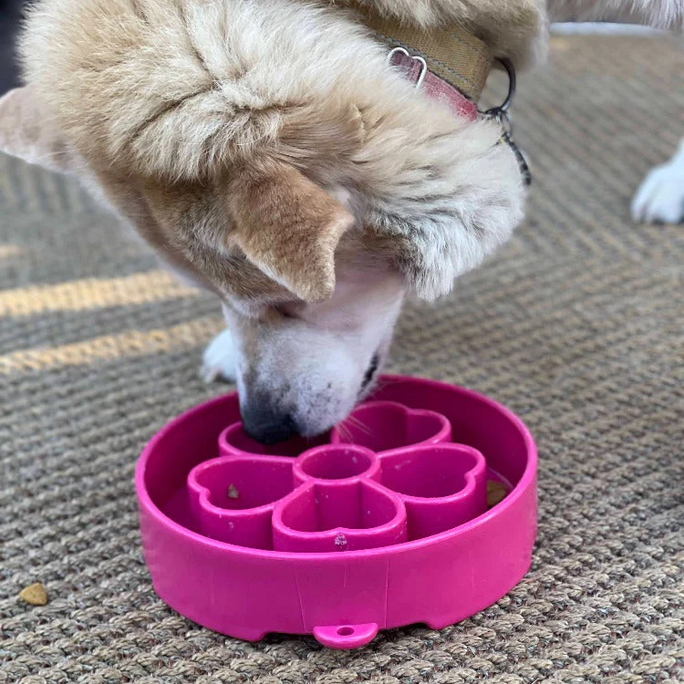 Flower eBowl Deep Slow Feeder Dog Bowl for Enrichment | USA Made - Image 8