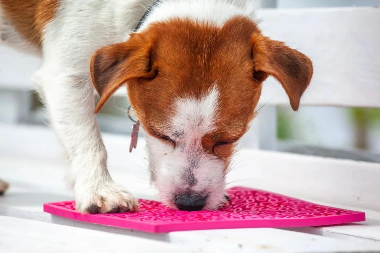 Flower Power emat - Enrichment Lick Mat for Dogs and Cats | Flower Design | USA Made - Image 7