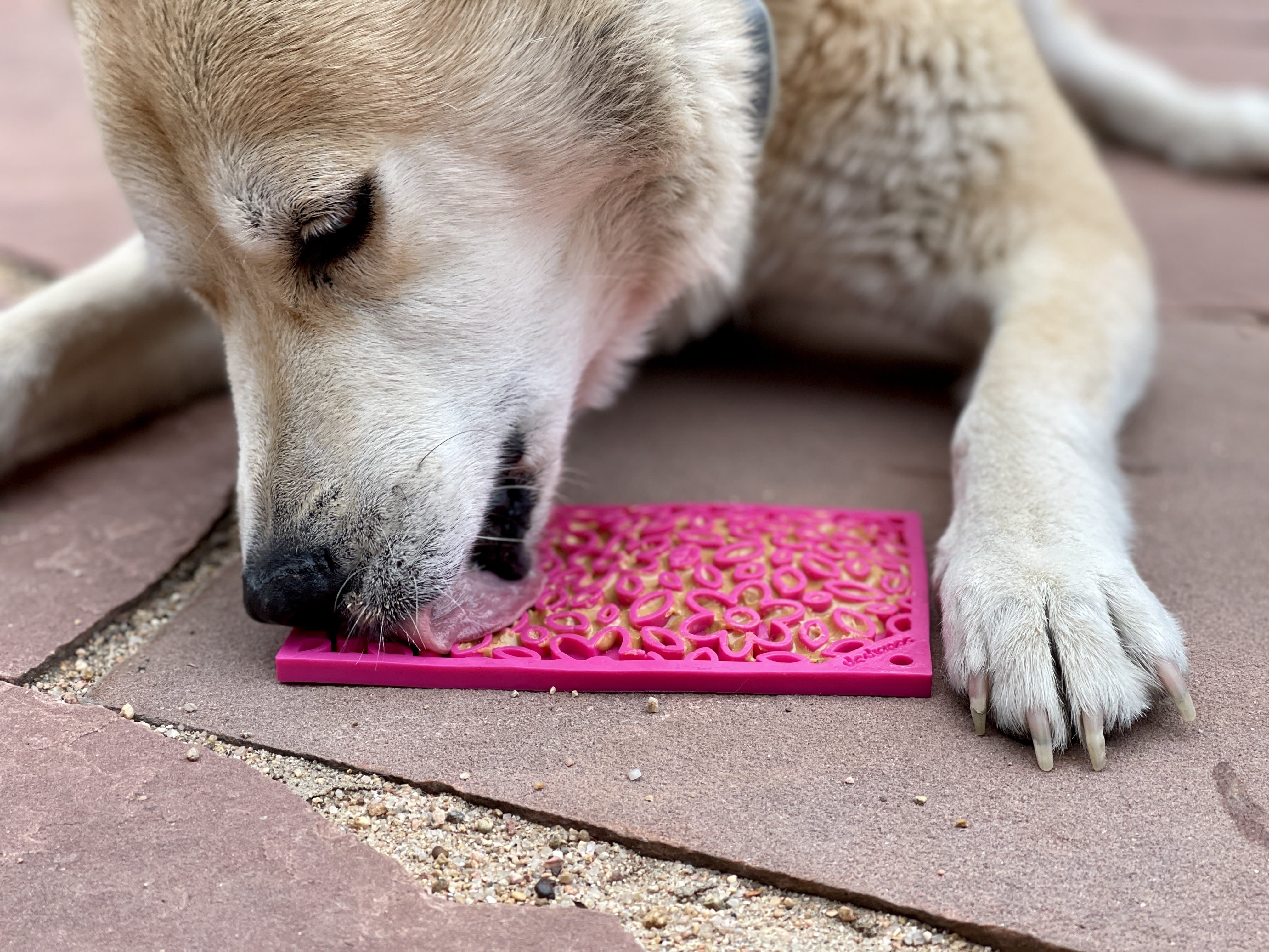 Flower Power emat - Enrichment Lick Mat for Dogs and Cats | Flower Design | USA Made - Image 8