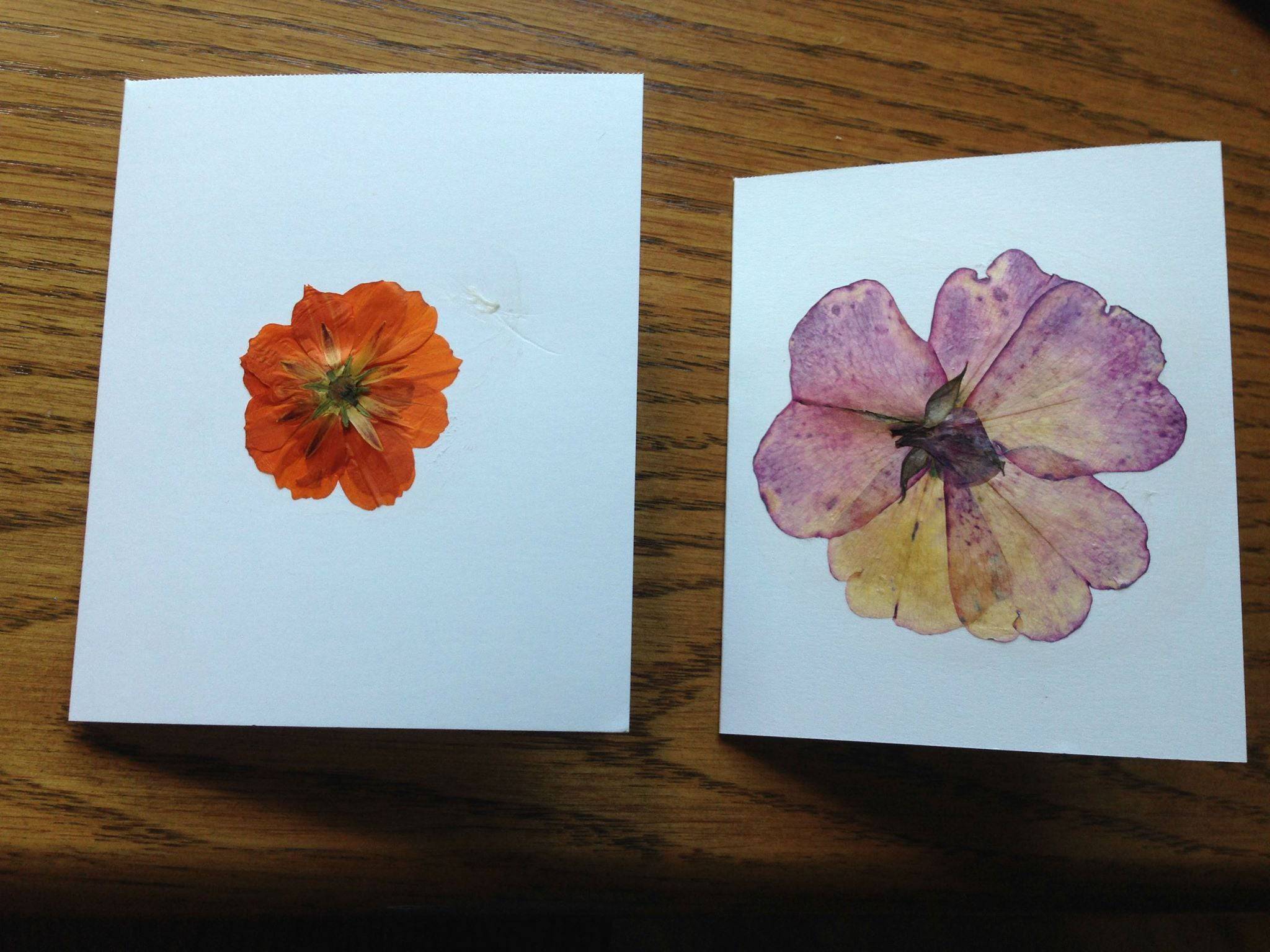FLOWER PRESS  Wooden Craft Tool - Image 2