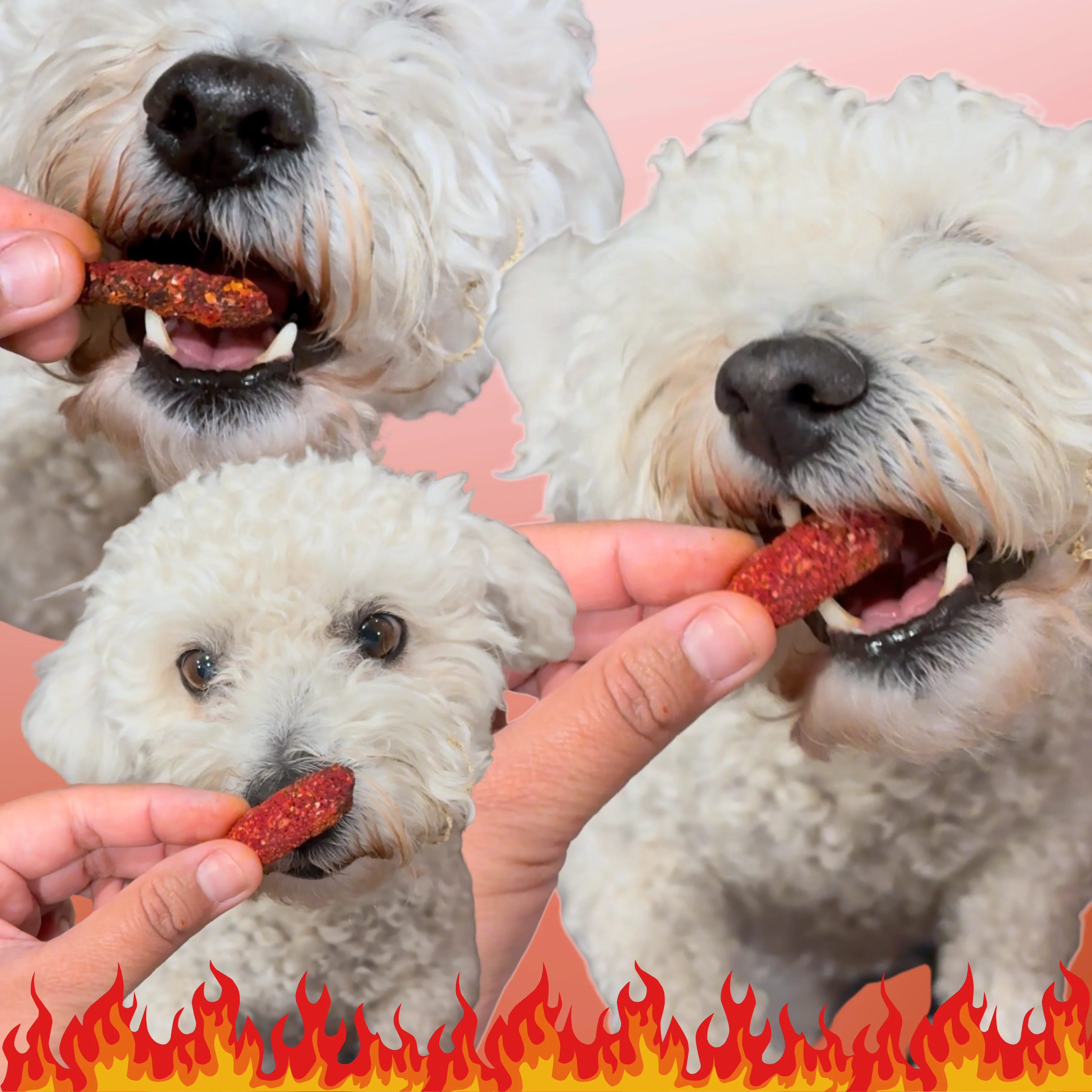 Fluffin Hot Cheewtos! - Image 3