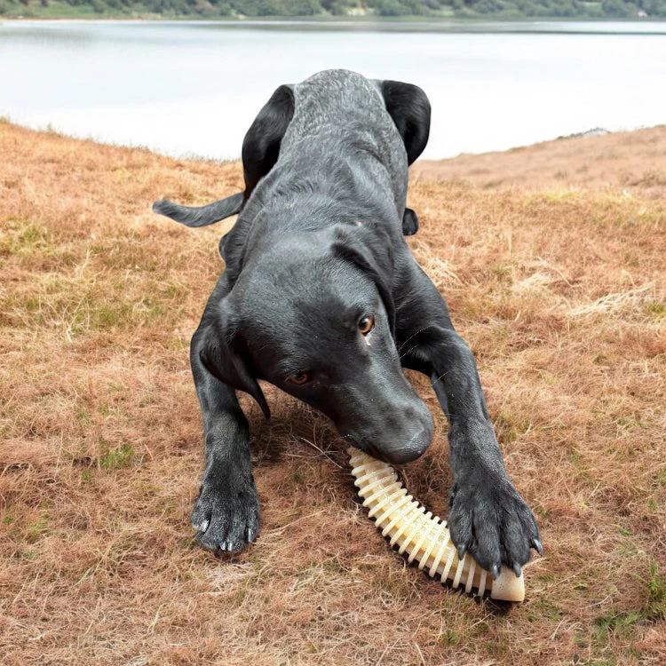 Flufflehorn Dental Antler - Indestructible Nylon Dog Chew Toy XL | USA Made - Image 6