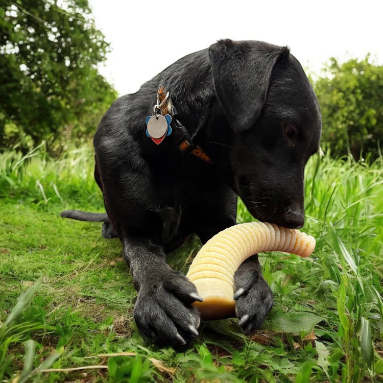 Flufflehorn Dental Antler - Indestructible Nylon Dog Chew Toy XL | USA Made - Image 8