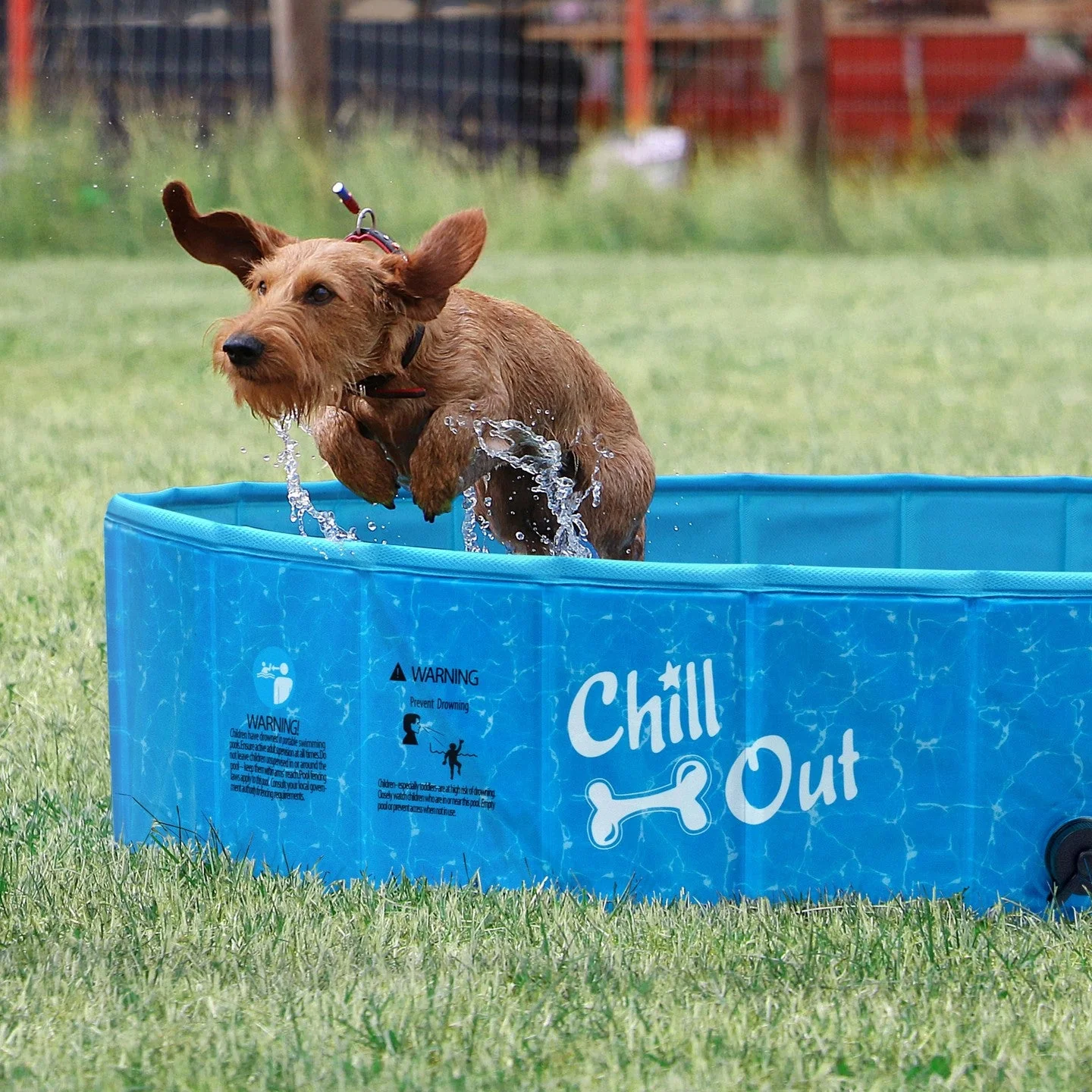 Foldable Dog Swimming Pool - Image 2