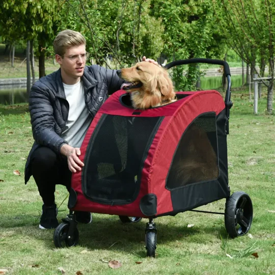 Foldable Pet Stroller with Storage Pocket - Image 14