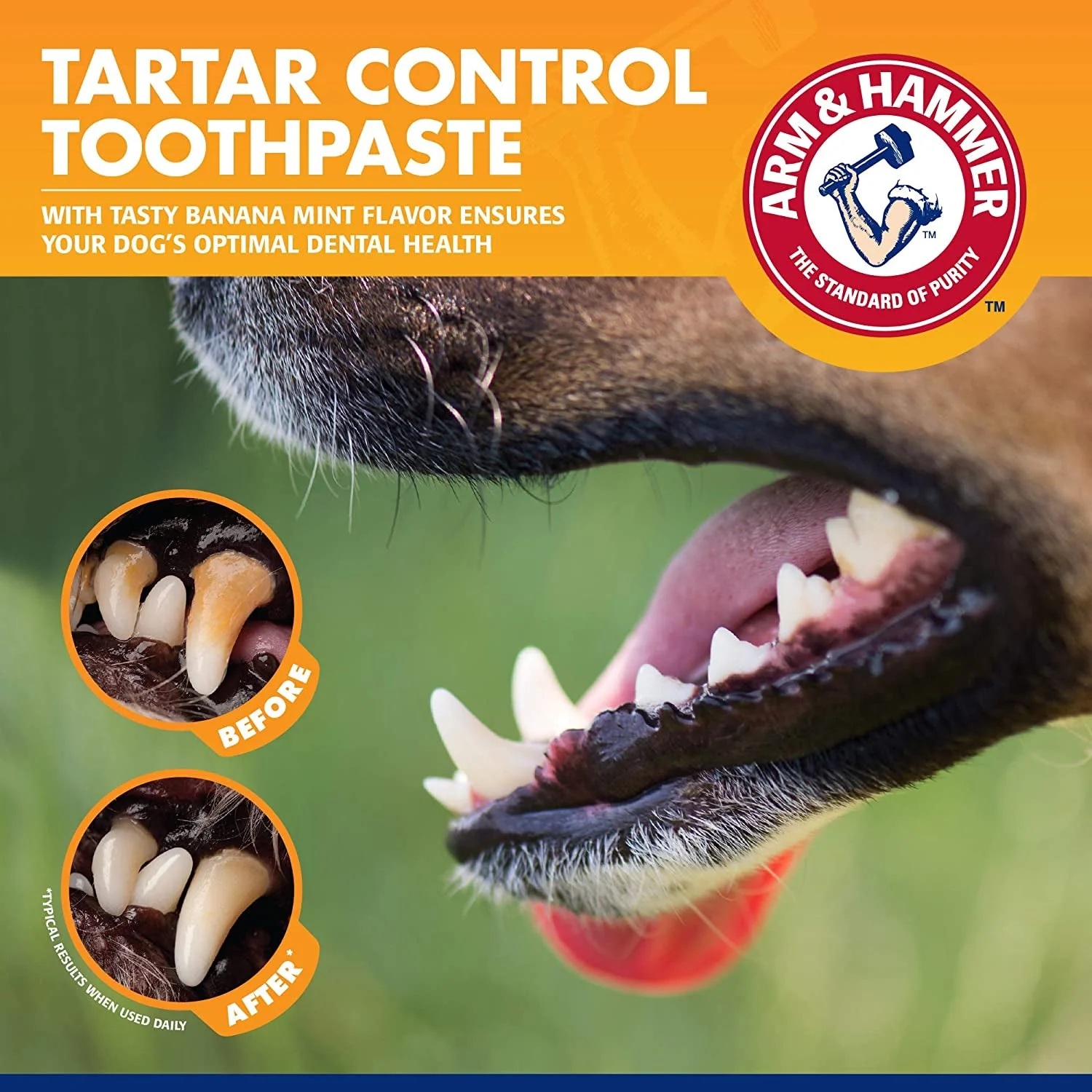 for Pets Tartar Control Kit for dogs - Image 5