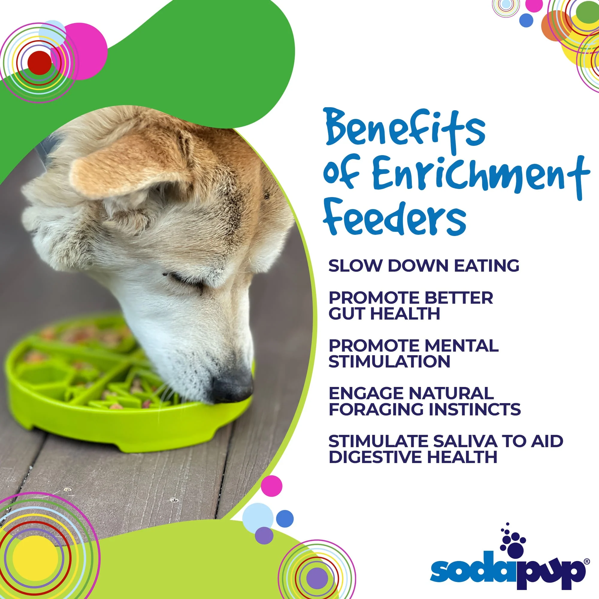 Four Seasons eTray - Shallow Slow Feeder Dog Bowl for Enrichment | USA Made - Image 3