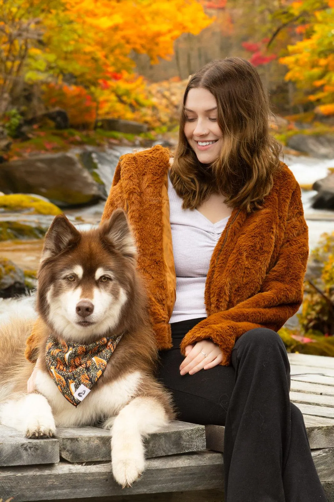 Foxes in Fall Dog Bandana - Image 3